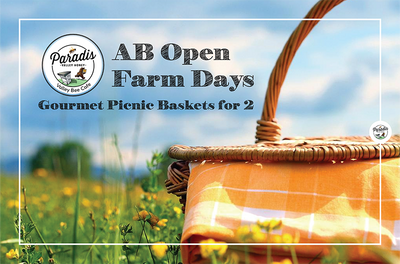 Experience the Journey From Hive to Table at Paradis Valley Honey
