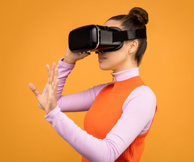 Virtual Reality Beekeeping Experience